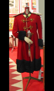 Picture of costume 55