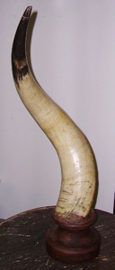 Picture of horn on base