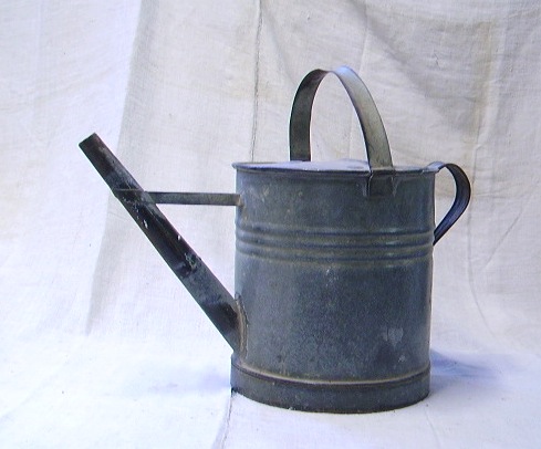 Picture of watering can 8
