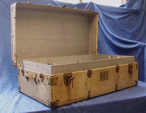 Picture of Trunk n°237