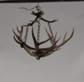 Picture of Antlers chandelier - mod 2