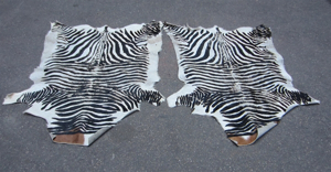 Picture of Fake zebra hide