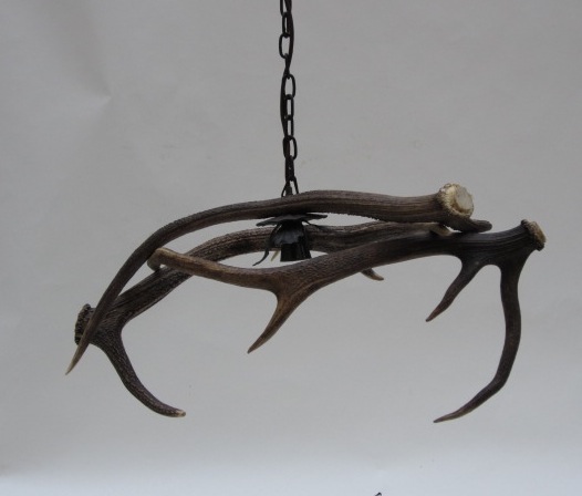 Picture of Antlers chandelier - mod 10