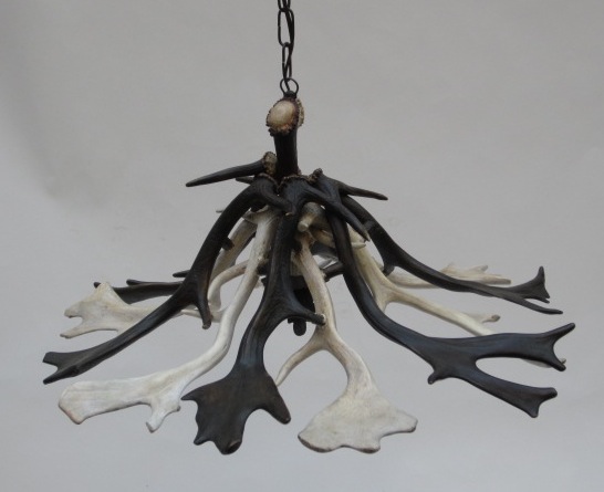 Picture of Antlers chandelier - mod 11
