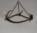 Picture of Antlers Chandelier - mod. 16
