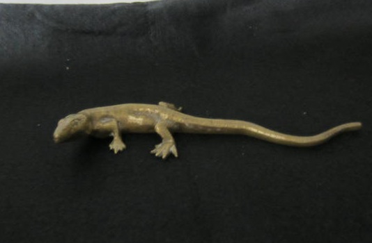 Picture of Bronze lizard