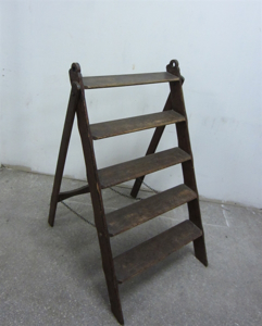 Picture of Short Ladder n° 10