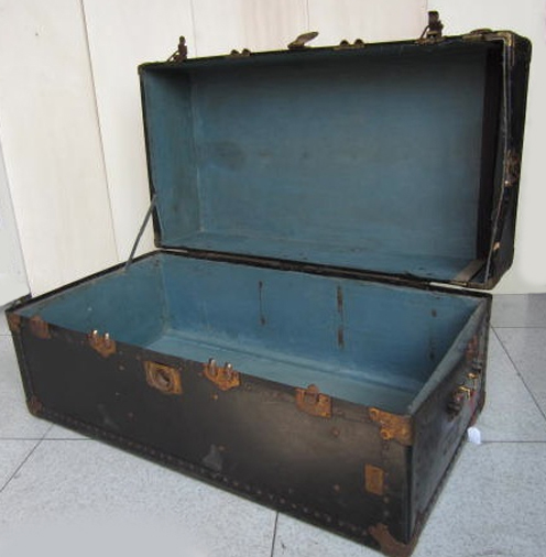 Picture of Trunk n° 203