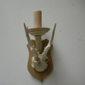Picture of White Roe deer antlers with skull wall lamp n° 19