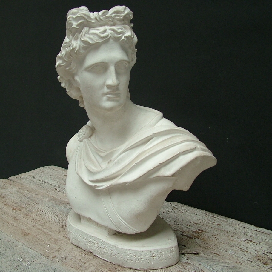 Picture of  Plaster cast bust sculpure  Belverere's Apollo