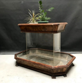 Picture of Two tanks Biedermeier planter made in various inlaid woods