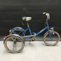Picture of Doniselli Tricycle for adult