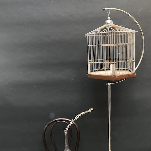 Picture of Chrome plated birdcage with hanger