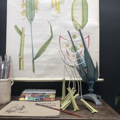 Picture of School botanical posters 