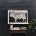 Picture of Domestic animals school poster 