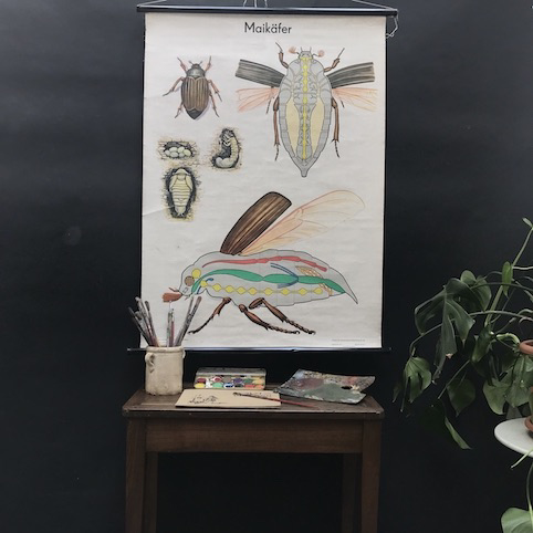 Picture of Insects school posters